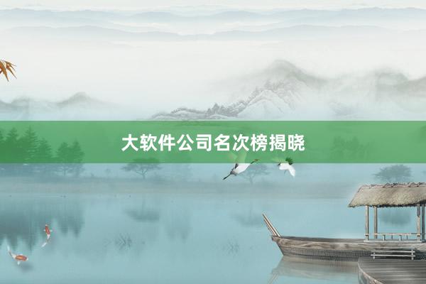 大软件公司名次榜揭晓