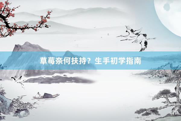 草莓奈何扶持？生手初学指南